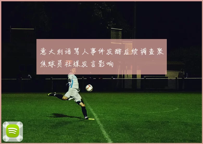 意大利语骂人事件发酵后续调查聚焦球员社媒发言影响