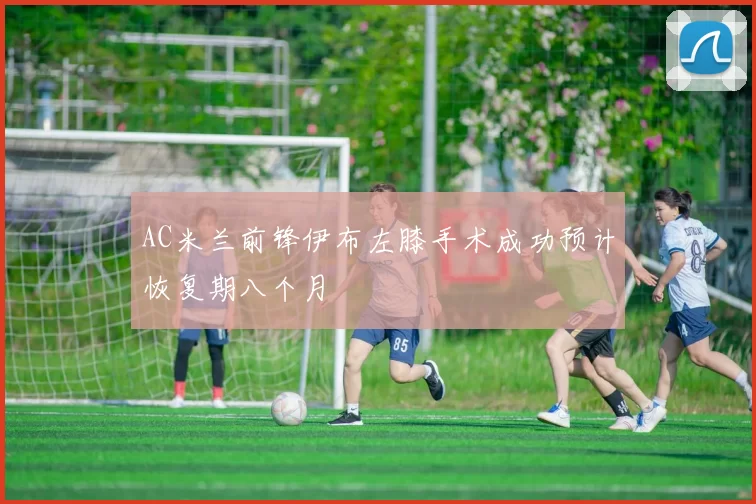 AC米兰前锋伊布左膝手术成功预计恢复期八个月