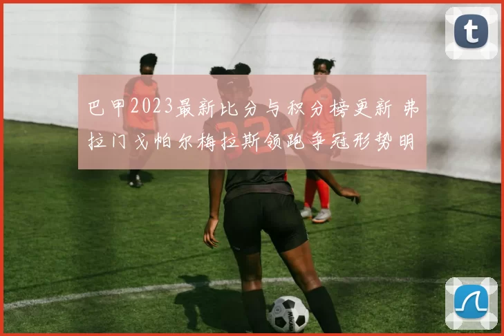 巴甲2023最新比分与积分榜更新 弗拉门戈帕尔梅拉斯领跑争冠形势明朗
