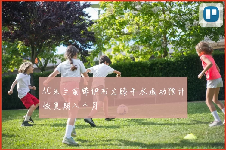 AC米兰前锋伊布左膝手术成功预计恢复期八个月