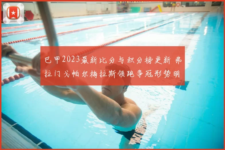 巴甲2023最新比分与积分榜更新 弗拉门戈帕尔梅拉斯领跑争冠形势明朗