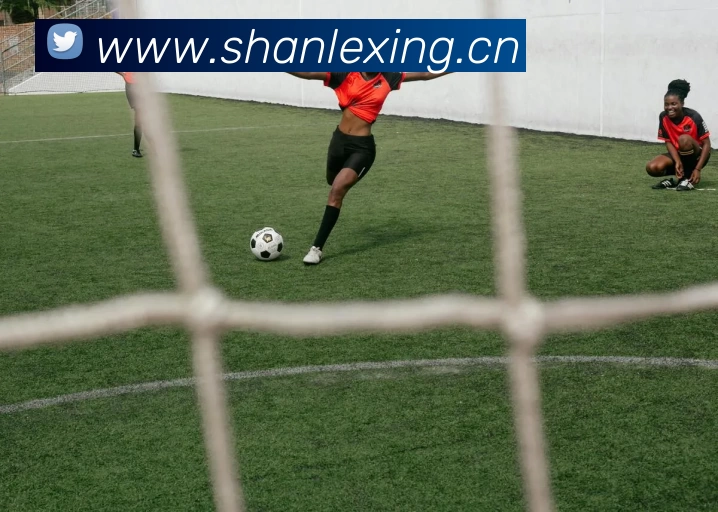 乐鱼页面在线登录 - 乐鱼(中国)全站App